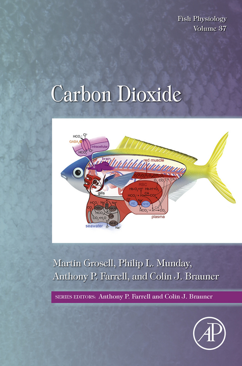 Carbon Dioxide - 