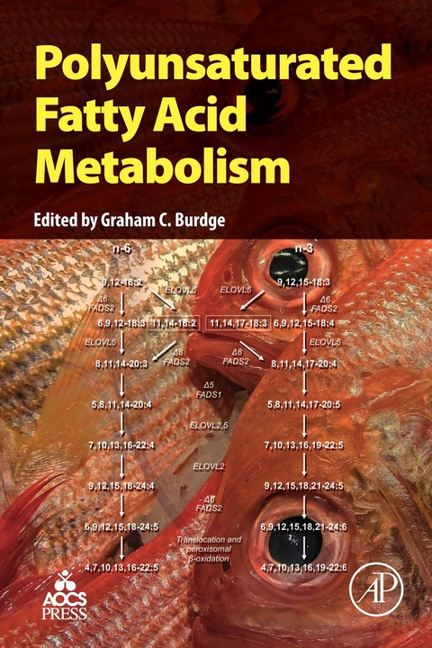 Polyunsaturated Fatty Acid Metabolism - 