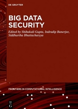 Big Data Security - 