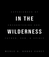 In the Wilderness: Experiences of Encountering God - Merle A. Hodge-Carey