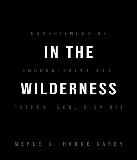 In the Wilderness: Experiences of Encountering God - Merle A. Hodge-Carey