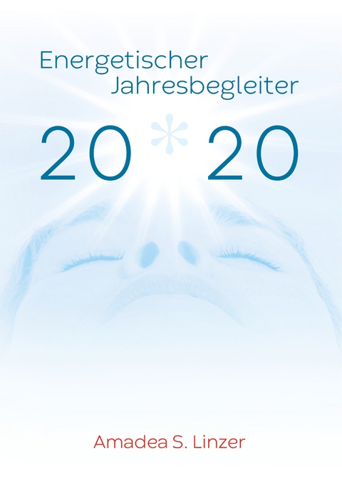 Energetischer Jahresbegleiter 2020 -  Amadea S. Linzer