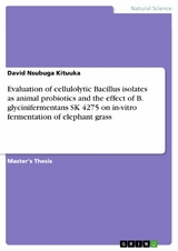 Evaluation of cellulolytic Bacillus isolates as animal probiotics and the effect of B. glycinifermentans SK 4275 on in-vitro fermentation of elephant grass - David Nsubuga Kituuka