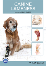 Canine Lameness - 