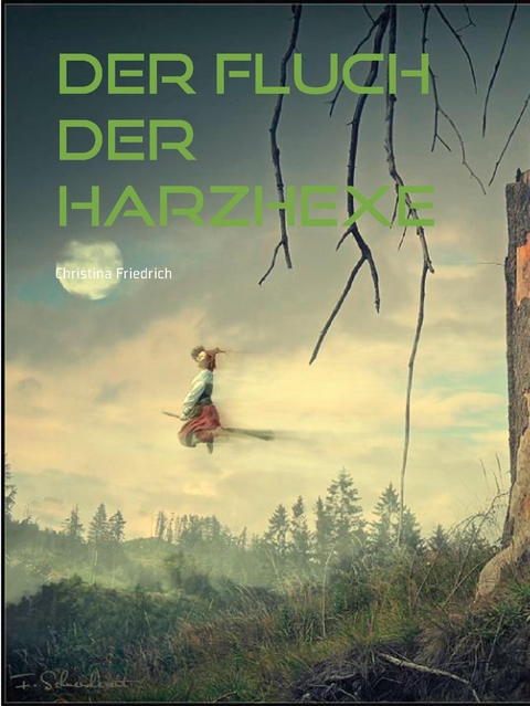 Der Fluch der Harzhexe - Christina Friedrich