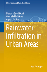 Rainwater Infiltration in Urban Areas - Martina Zeleňáková, Gabriela Hudáková, Agnieszka Stec