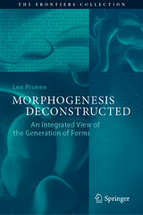 Morphogenesis Deconstructed - Len Pismen