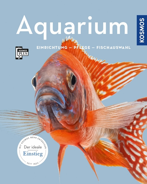 Aquarium - Angela Beck