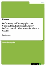 Krafttestung und Trainingsplan zum Muskelaufbau, Kraftzuwachs, bessere Kraftausdauer
der Muskulatur eines jungen Mannes -  Schoppus