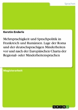 Mehrsprachigkeit und Sprachpolitik in Frankreich und Rumänien. Lage der Roma und der deutschsprachigen Minderheiten vor und nach der Europäischen Charta der Regional- oder Minderheitensprachen - Kerstin Enderle