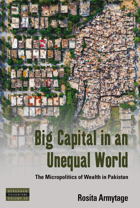 Big Capital in an Unequal World -  Rosita Armytage