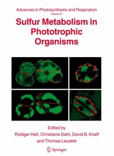 Sulfur Metabolism in Phototrophic Organisms - 