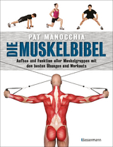 Die Muskelbibel. Aufwärmtraining, Muskelaufbautraining, Kraftausdauertraining, Maximalkrafttraining. Mit und ohne Geräte. Für Anfänger und Fortgeschrittene - Pat Manocchia