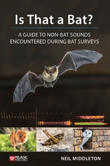 Is That a Bat? -  Neil Middleton