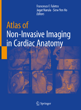 Atlas of Non-Invasive Imaging in Cardiac Anatomy - 