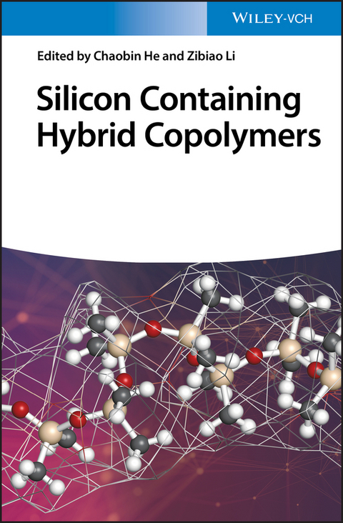 Silicon Containing Hybrid Copolymers - 