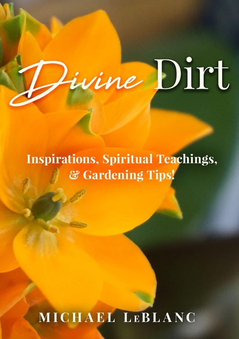 Divine Dirt -  Michael LeBlanc