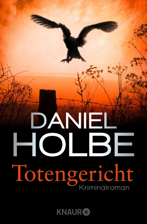 Totengericht -  Daniel Holbe