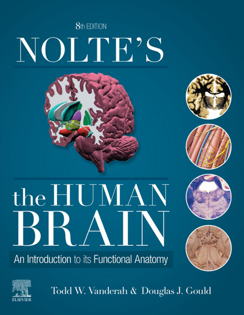 Nolte's The Human Brain E-Book -  Douglas J. Gould,  Todd W. Vanderah