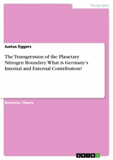 The Transgression of the Planetary Nitrogen Boundary. What is Germany's Internal and External Contribution? - Justus Eggers