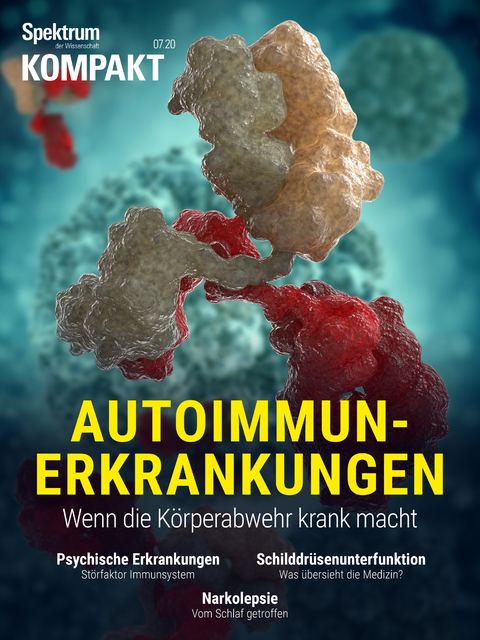 Spektrum Kompakt - Autoimmunerkrankungen -  Spektrum der Wissenschaft