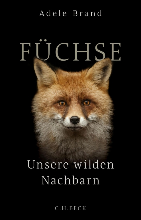 Füchse - Adele Brand