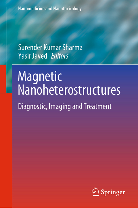 Magnetic Nanoheterostructures - 