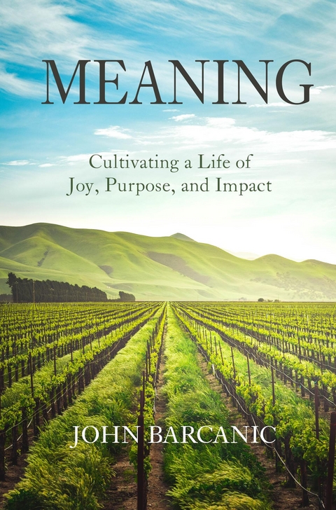 Meaning -  John Barcanic