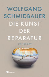 Die Kunst der Reparatur - Wolfgang Schmidbauer