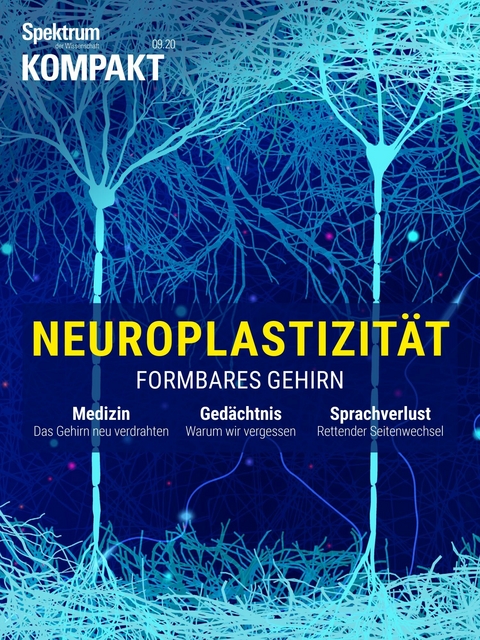 Spektrum Kompakt - Neuroplastizität -  Spektrum der Wissenschaft Verlagsgesellschaft