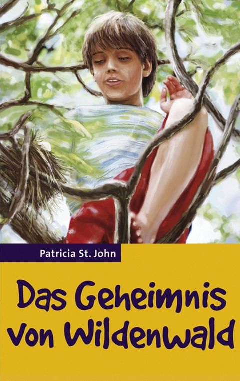 Das Geheimnis von Wildenwald - Patricia St John