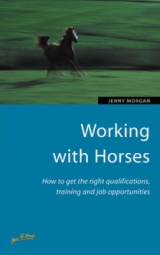 Working with Horses - Morgan, Jenny