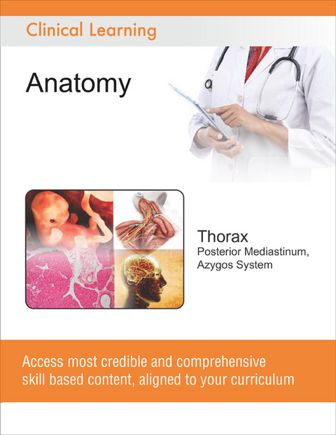 Thorax - Posterior Mediastinum, Azygos System -  University of North Carolina Chapel Hill