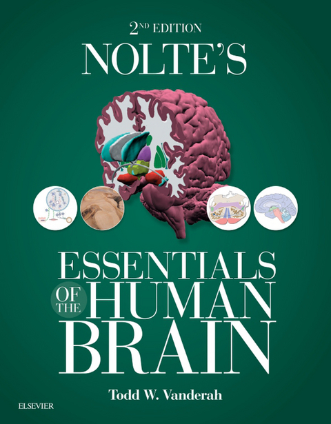 Nolte's Essentials of the Human Brain E-Book -  Todd W. Vanderah