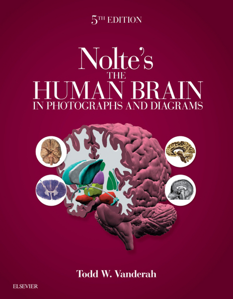 Nolte's The Human Brain in Photographs and Diagrams E-Book -  Todd W. Vanderah