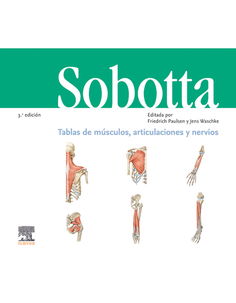 Sobotta. Cuaderno de tablas. Músculos, articulaciones y nervios - 