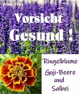 Vorsicht Gesund!! - Alina Frey