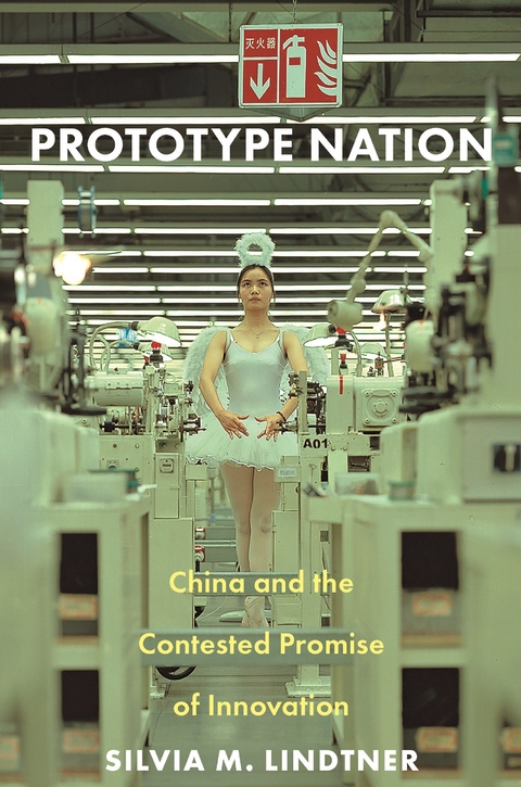 Prototype Nation -  Silvia M. Lindtner