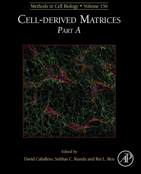 Cell-derived Matrices Part A - 