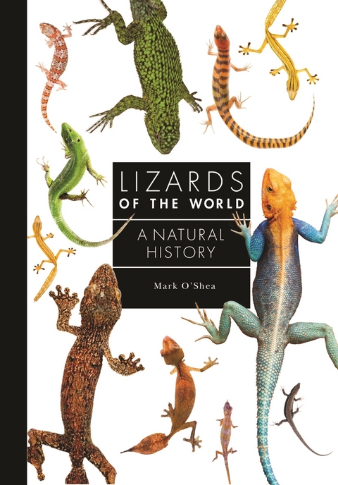 Lizards of the World -  Mark O'Shea