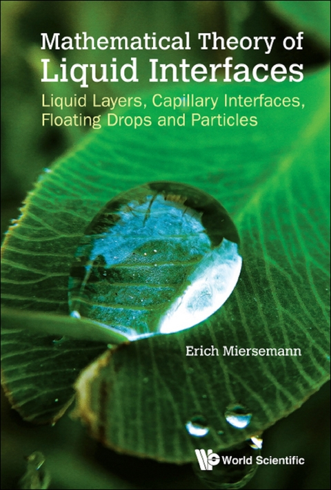 MATHEMATICAL THEORY OF LIQUID INTERFACES - Erich Miersemann