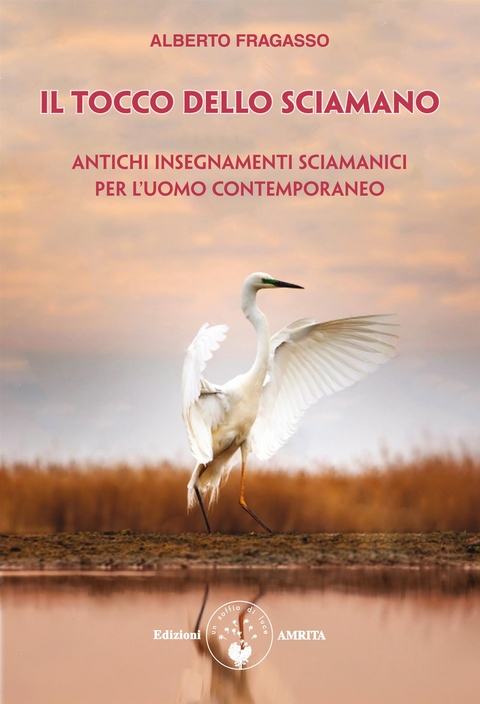 Il tocco dello sciamano - Alberto Fragasso