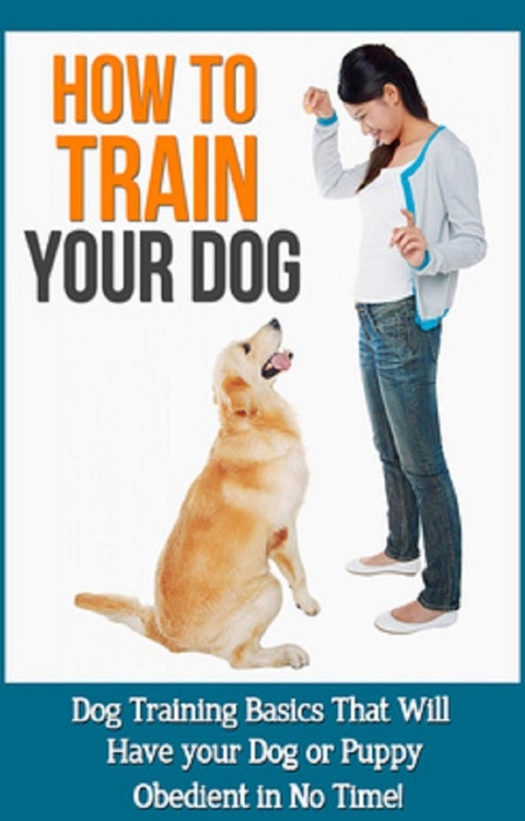 How to Train Your Dog -  Mason Rampey