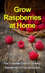 Grow Raspberries at Home - Steve Ryan