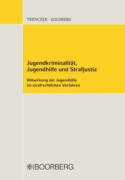 Jugendkriminalität, Jugendhilfe und Strafjustiz - Thomas Trenczek, Brigitta Goldberg