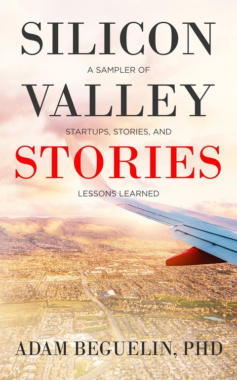 Silicon Valley Stories -  Adam Beguelin