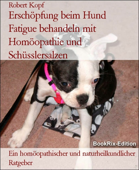 Erschöpfung beim Hund    Fatigue behandeln mit Homöopathie und Schüsslersalzen - Robert Kopf