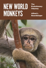 New World Monkeys -  Alfred L. Rosenberger