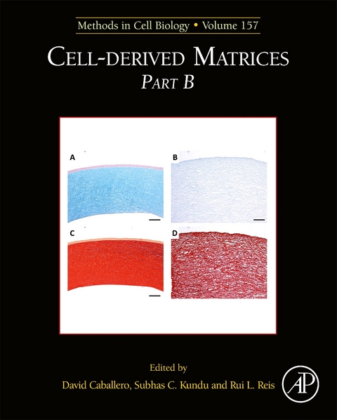 Cell-Derived Matrices Part B - 