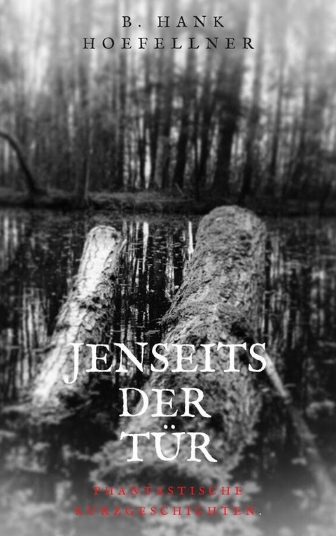 Jenseits der Tür - Bernhard Höfellner